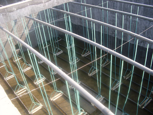 ���̰���